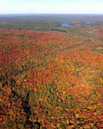 Fall colors aerial over St Nora Barbara Bissell