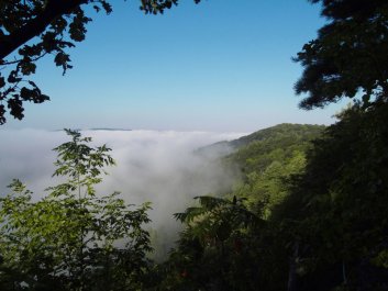 above the cloud from the tower Dale Webb